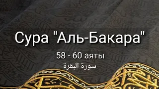 Выучите Коран наизусть | Каждый аят по 10 раз 🌼| Сура 2 "Аль-Бакара" (58-60 аяты)