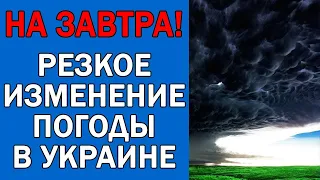 ПОГОДА НА 19 АВГУСТА : ПОГОДА НА ЗАВТРА