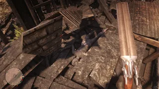 RDR2 - After 3 years of playing, I discover this corpse for the first time