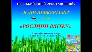 2 клас. Я досліджую світ. Рослини влітку.