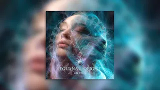 Eguana & Qeight - Life Cycle