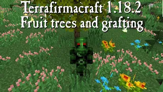 Terrafirmacraft 1.18.2 short reviews - Fruit trees and grafting