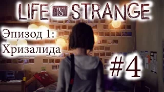 Life is Strange - Эпизод 1: Хризалида #4 [русская озвучка, без комментариев]