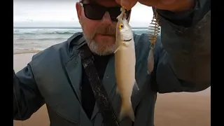 Yellow eye mullet bait, burly, rig, tips.Fishing Parsons beach South Australia.