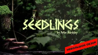 Seedlings (2023): небольшой обзор и мое мнение о игре