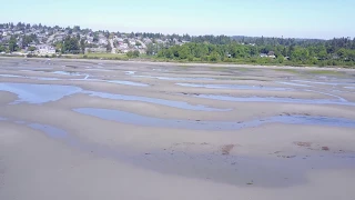 DJI 0029 (Mavic) Super Low Tide East White Rock Beach