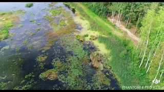 Озеро в лесу вблизи д. Торгашино