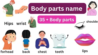 Body parts name - parts of body in English - Learn Body parts - Body parts name for kids