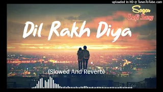 Dil Rakh Diya (Slowed Reverb)_Trending Lofi Song_Instagram Trending Song_lofi Sagar Chhapola