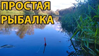 Рыбалка на поплавок на реке Медведица.
