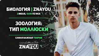 Зоология: моллюски | Биология ЕГЭ