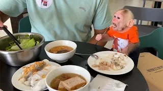 Monkey BiBi sleeps with his father, wakes up to brush his teeth! Dad invited BiBi to eat hot rolls!