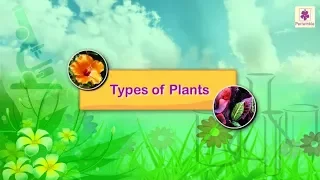 Types of Plants | Science For Kids | Periwinkle