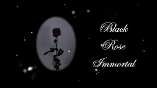 Opeth - Black Rose Immortal [Acoustic Duo Cover]