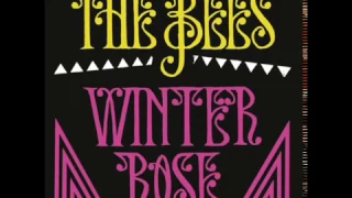 The Bees - Winter Rose (Nicolas Jaar Edit)