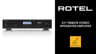 Rotel A11 Tribute Stereo Integrated Amplifier | Amazing Analog Amp For UNDER $1000
