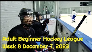 Adult Beginner Hockey League Week 8