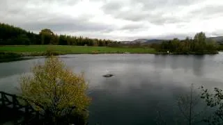 Nessie spotted in loch in Scotland