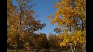 Пейзажи  Фото (landscapes photos. The amazing beauty of the steppe region)