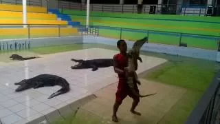 Шоу с крокодилами, о. Пхукет, Тайланд