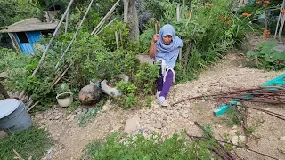 "En las plantas de los pies siento lumbre, no puedo pisar bien 😔"|Tía Aquilina.