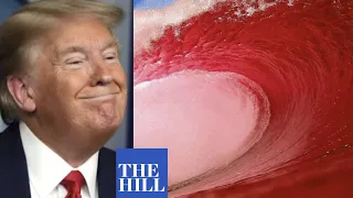 Trump predicts "red wave"