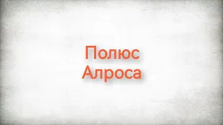 Обзор бумаг Полюс.Алроса.