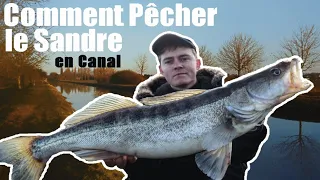 Comment pêcher le SANDRE  en canal - Animation & matériel