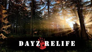 DayZ RELIFE [HardPVE+]  🔴 ЕСТЬ ЕДА НО НЕТ ВОДА 🔴 STREAM *13