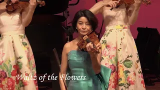 高嶋ちさ子 12人のヴァイオリニスト 帯広市民文化ホール コンサート映像