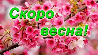 ❤Долгожданная весна! Привет  весна! Красивый стих. Христианский стих про весну.