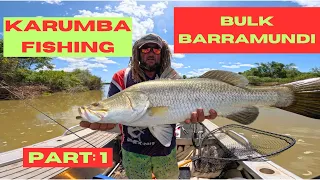 "Bulk Barramundi" Fishing Karumba: Part 1