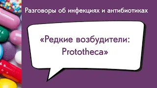 Редкие возбудители: Prototheca