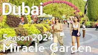 Dubai [4K] Amazing Dubai Miracle Garden, Season 2024 Walking Tour 🇦🇪