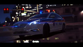 GTA5 LSPDFR LF소나타 #gta5 #gta5mods #korea #police #lspdfr