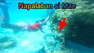 Small fish trap Ang daming huling banagan grabeng gulat Ng mga Bata!