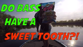 Will bass eat a candy worm bait?  Catching a smallmouth bass with candy challenge!