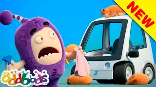 Jeff’s CATrophobia! | Oddbods | YENİ | Çocuklar için Çizgi Filmler