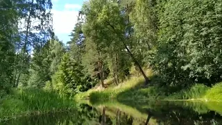 Летний поход по реке Кобоже