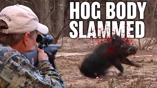 Texas Hog Hunting with Suppressed Rifle | Horsepower