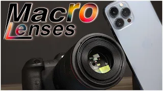 Macro Comparison | Canon RF 100mm F2.8 Lens VS iPhone 13 Pro Max | The Results Are so...