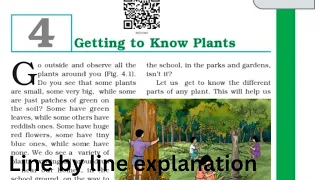 Class 6 science Chapter -4/ Getting To Know Plants/NCERT CBSE Line By Line Explanation