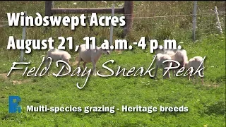 Field Day Sneak Peek: Windswept Acres, August 21