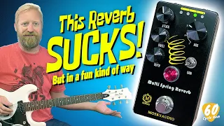 DO YOU WANT IT? And is this even a Reverb? - Mosky Multi Spring Reverb  - #HoopJumpersClub