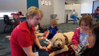 Children read to dogs at Prescott Valley Public Library