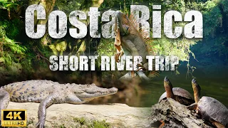 Short cinematic river trip. Wildlife of costa rica. (4K, FX3, DJI Mavic 3 Pro)