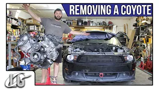 Coyote Build Pt 4: Pulling the dead Coyote engine from the track Mustang