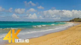 Maui Island, Hawaii - 4K Nature Documentary Film - Part 1