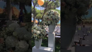 Pine cliffs Portugal wedding