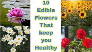 10 Edible Flower 🌺 That Keep You Healthy